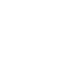 epido® Prozess für Projektoptimierung